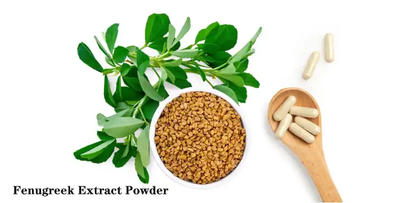 Fenugreek Extract Powder.jpg